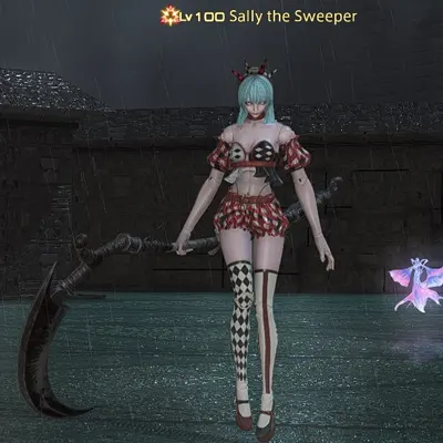 sally_the_sweeper